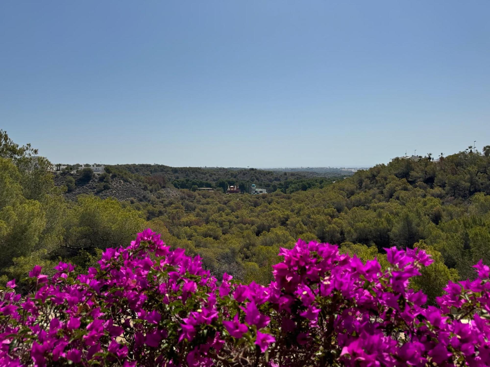 Orihuela - Las Ramblas - Casa Pino Dehesa de Campoamor  Екстер'єр фото